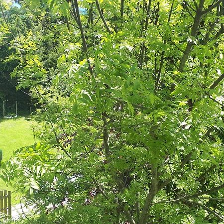 Apartment Orlitsch Klagenfurt am Woerthersee Ngoại thất bức ảnh
